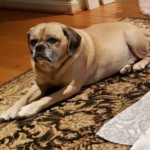 Meet your Posher, Eileen